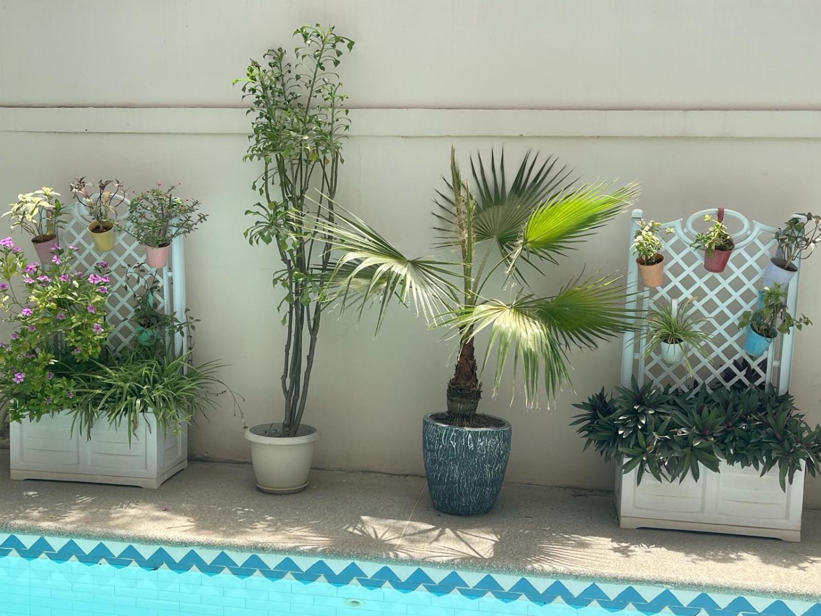 Villa Ngore Saly Dış mekan fotoğraf